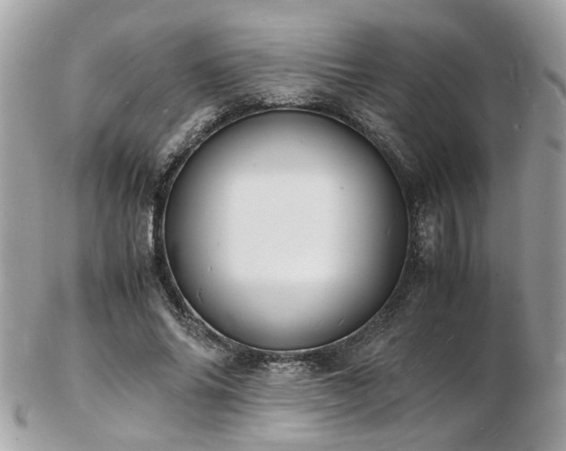 X0000103290686200808291334