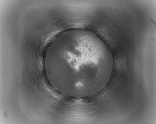 X0000103290688200808291334