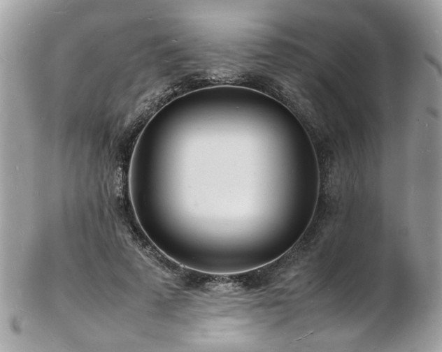 X0000103290689200808291333