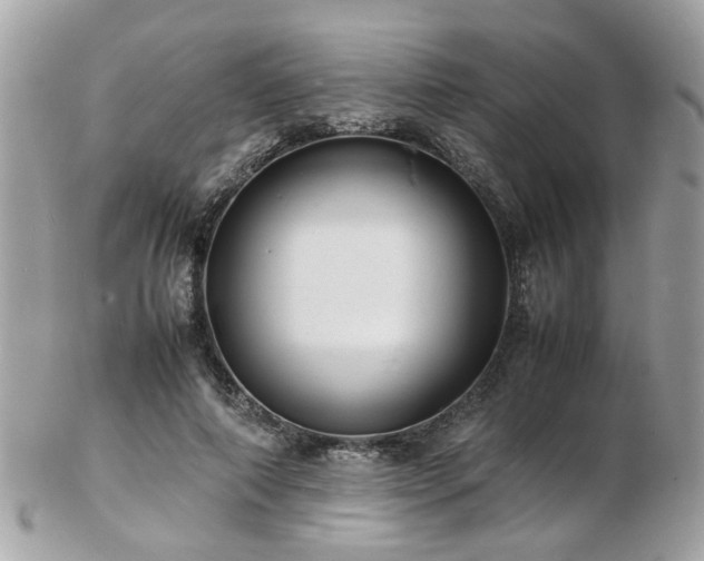 X0000103290690200808291333