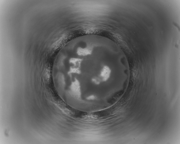 X0000103290691200808291333