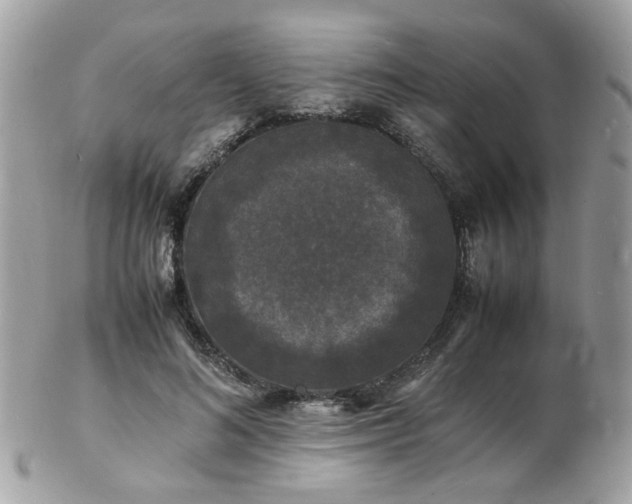 X0000103290692200808291333