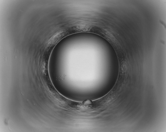 X0000103290693200808291333