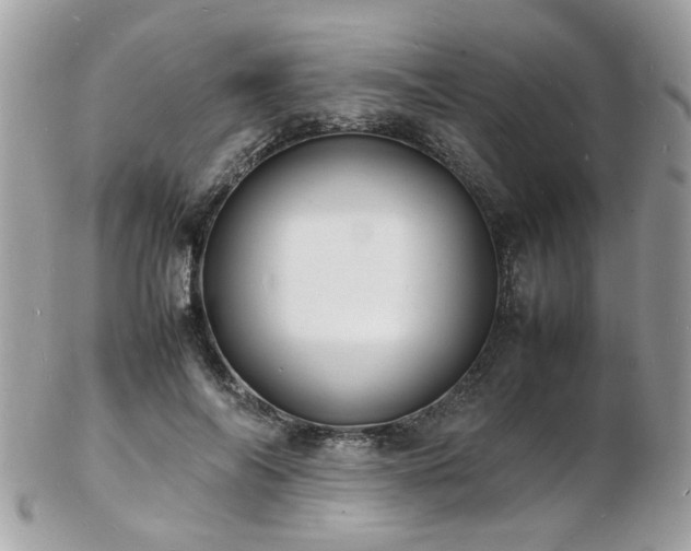 X0000103290694200808291333