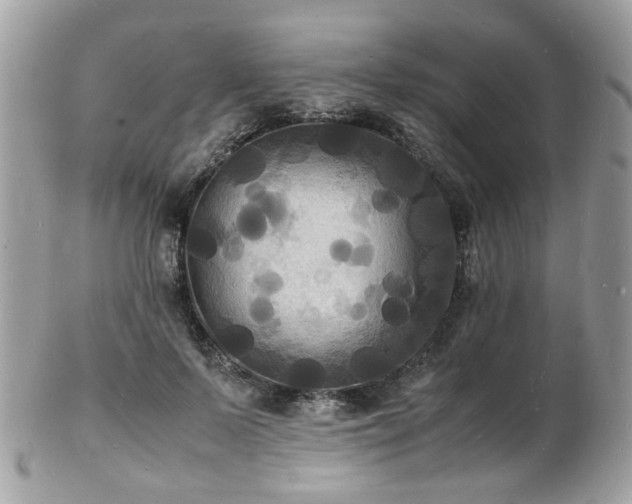 X0000103290695200808291333