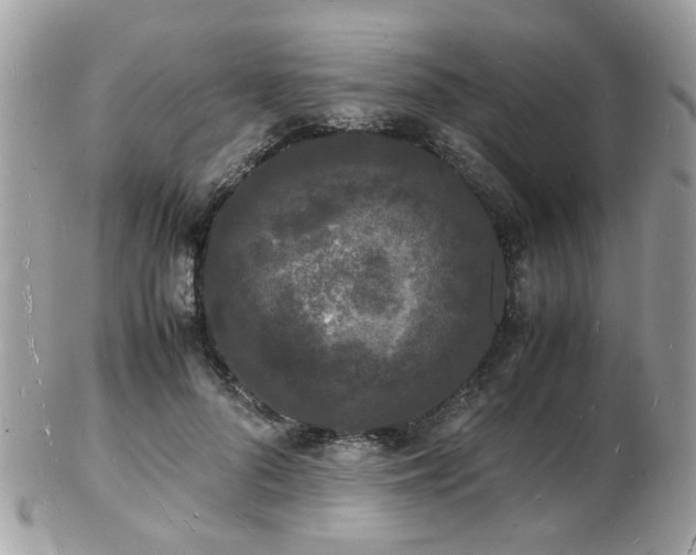 X0000103290696200808291333