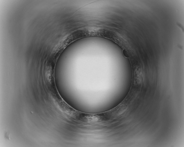 X0000103290698200808291333