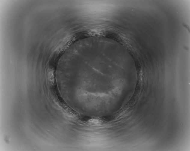 X0000103290699200808291333