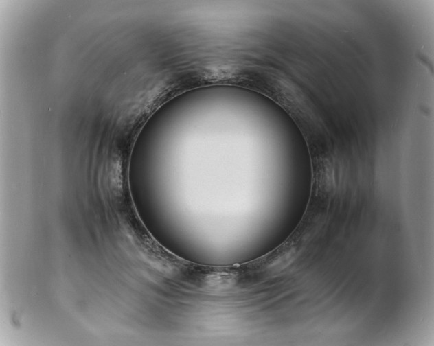 X0000103290700200808291333
