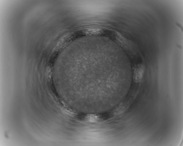 X0000103290701200808291333
