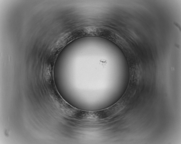 X0000103290702200808291333