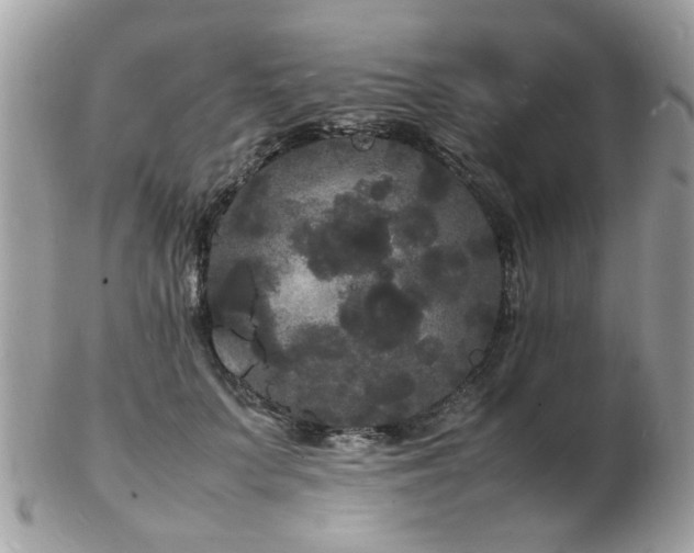 X0000103290703200808291333
