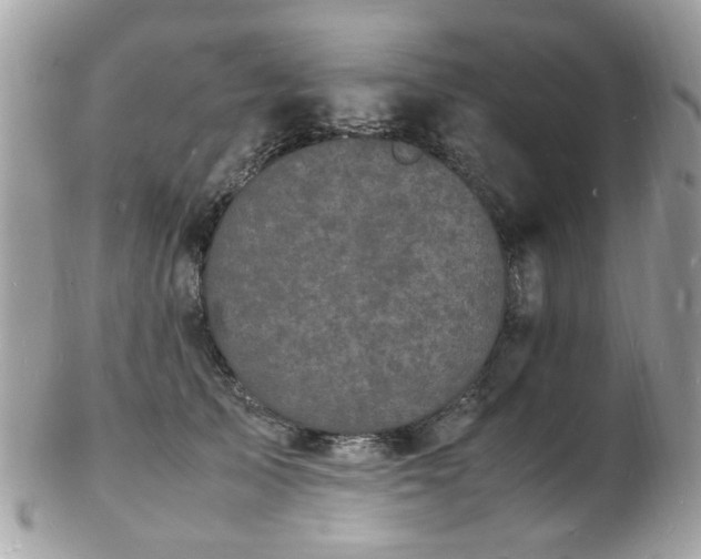 X0000103290705200808291333