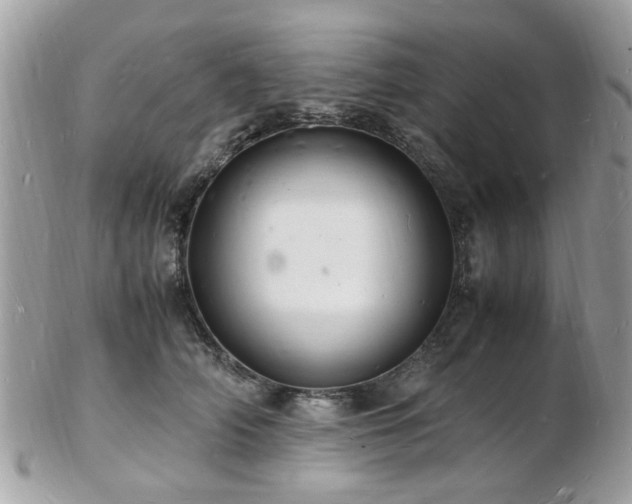 X0000103290706200808291333