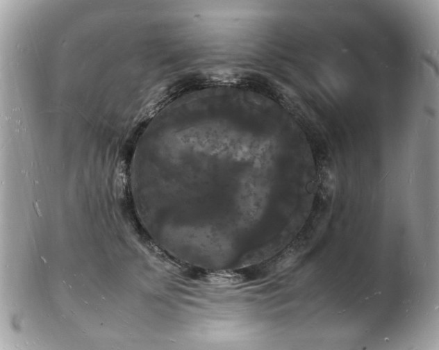 X0000103290707200808291333