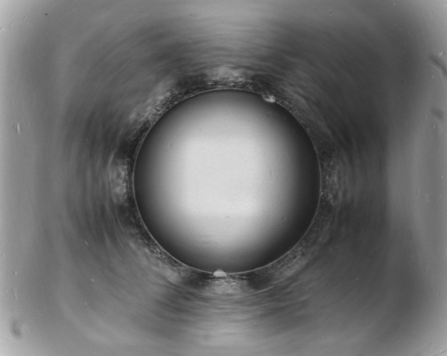 X0000103290708200808291333