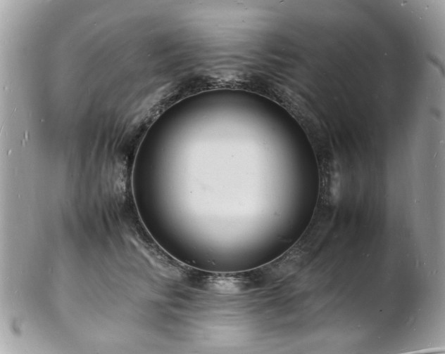 X0000103290710200808291333