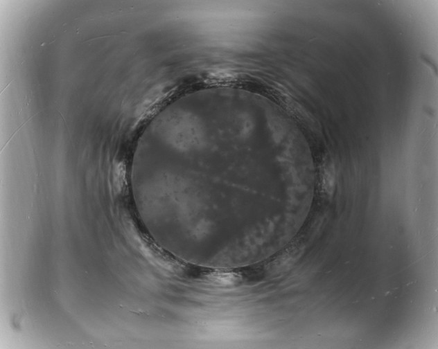 X0000103290711200808291333