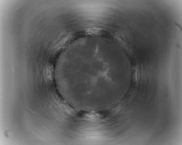 X0000103290712200808291333