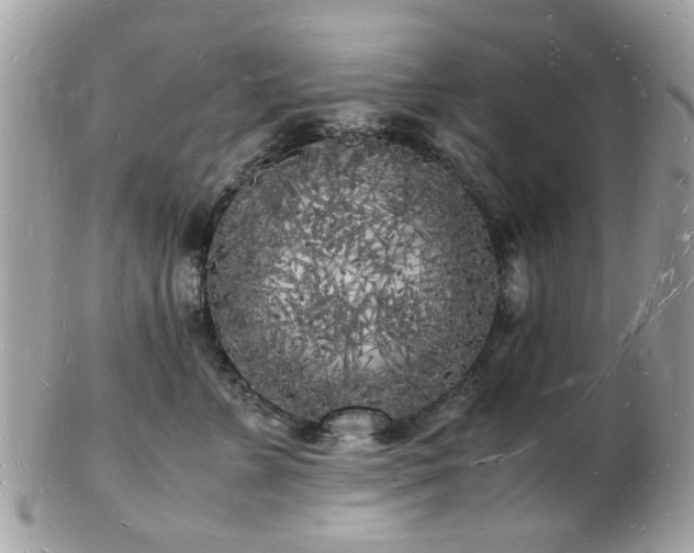 X0000103290715200808291333