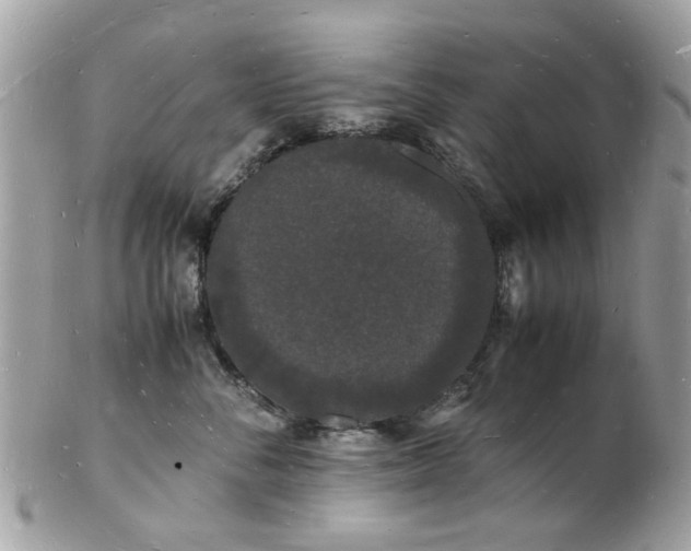 X0000103290716200808291333