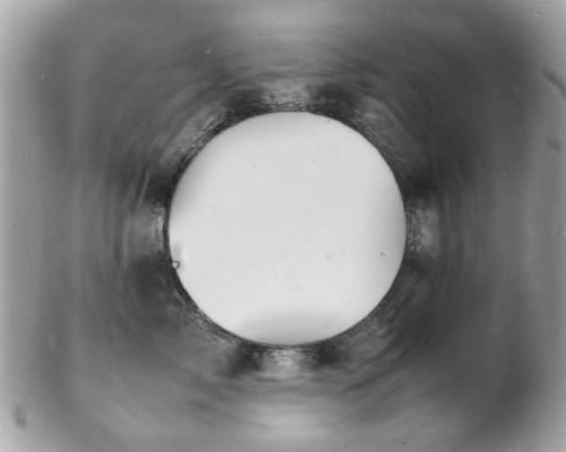 X0000103290717200808291333