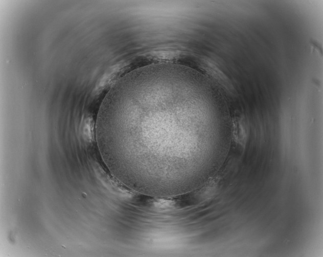 X0000103290718200808291333