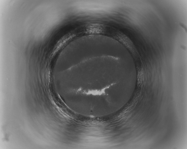 X0000103290722200808291332