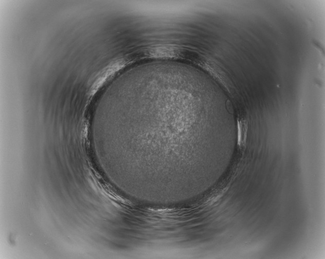 X0000103290723200808291332