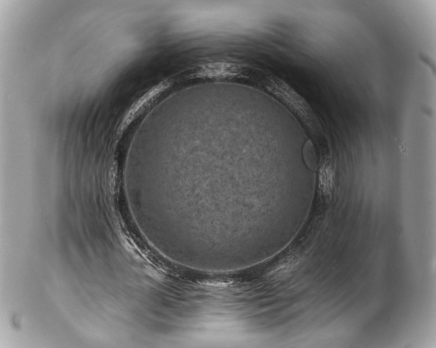 X0000103290724200808291332