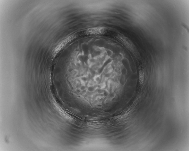 X0000103290725200808291332