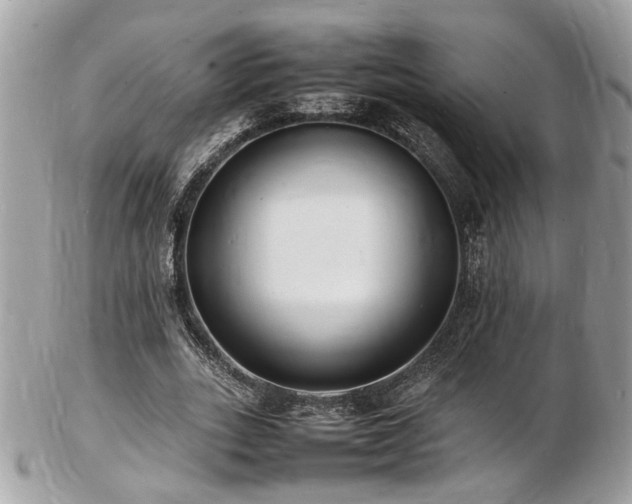 X0000103290727200808291332