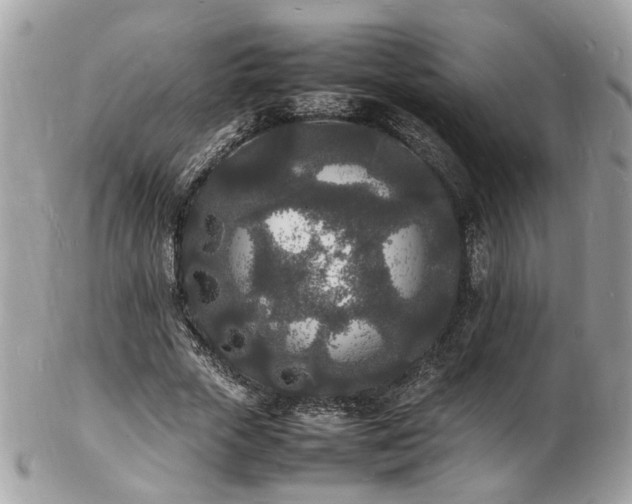X0000103290729200808291333