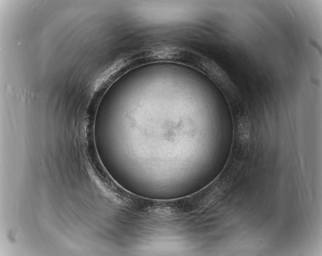 X0000103290730200808291333