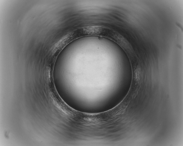 X0000103290733200808291333