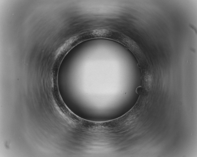 X0000103290734200808291333