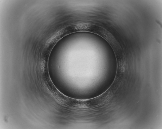X0000103290735200808291333