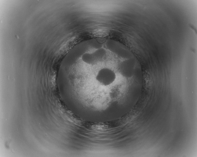 X0000103290745200808291333