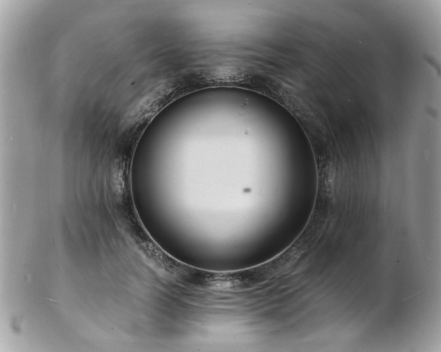 X0000103290746200808291333