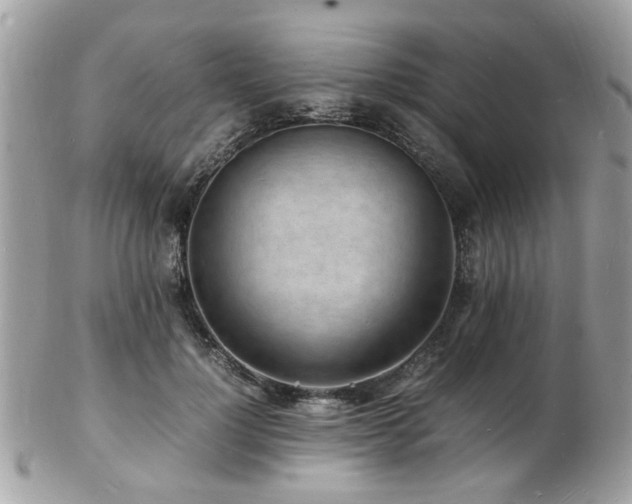 X0000103290748200808291333
