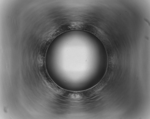 X0000103290751200808291333