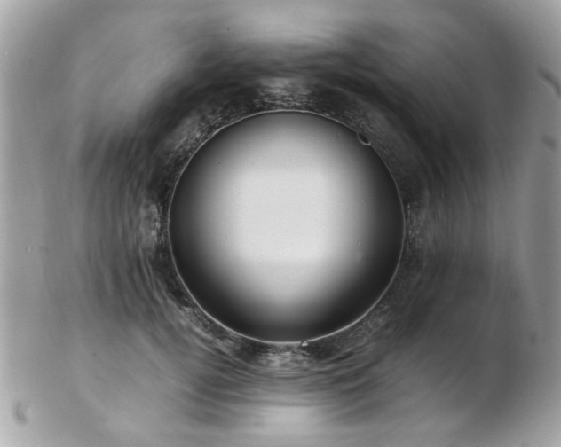 X0000103290752200808291333