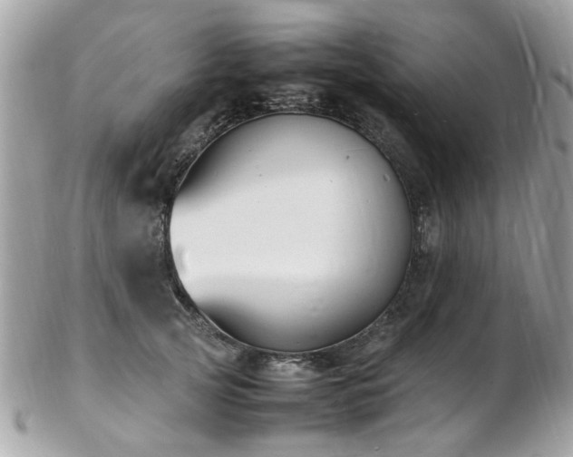 X0000103290753200808291333