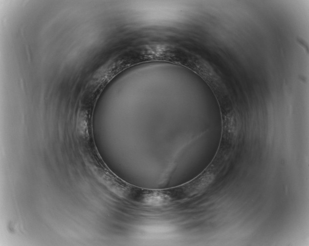 X0000103290754200808291333