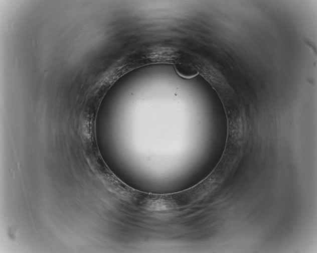 X0000103290755200808291333