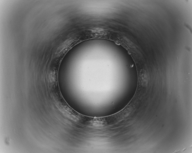 X0000103290756200808291333
