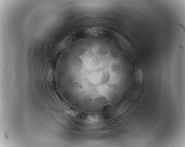 X0000103290757200808291333