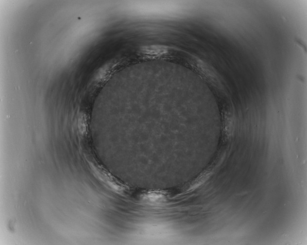 X0000103290758200808291333