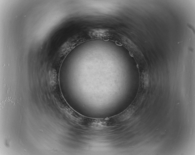 X0000103290760200808291333