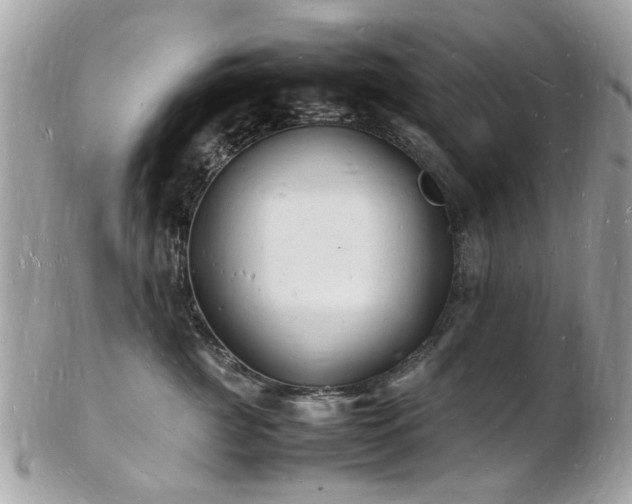 X0000103290761200808291333